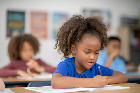 How Small Schools in Nigeria Can Afford School Management Software in 2025